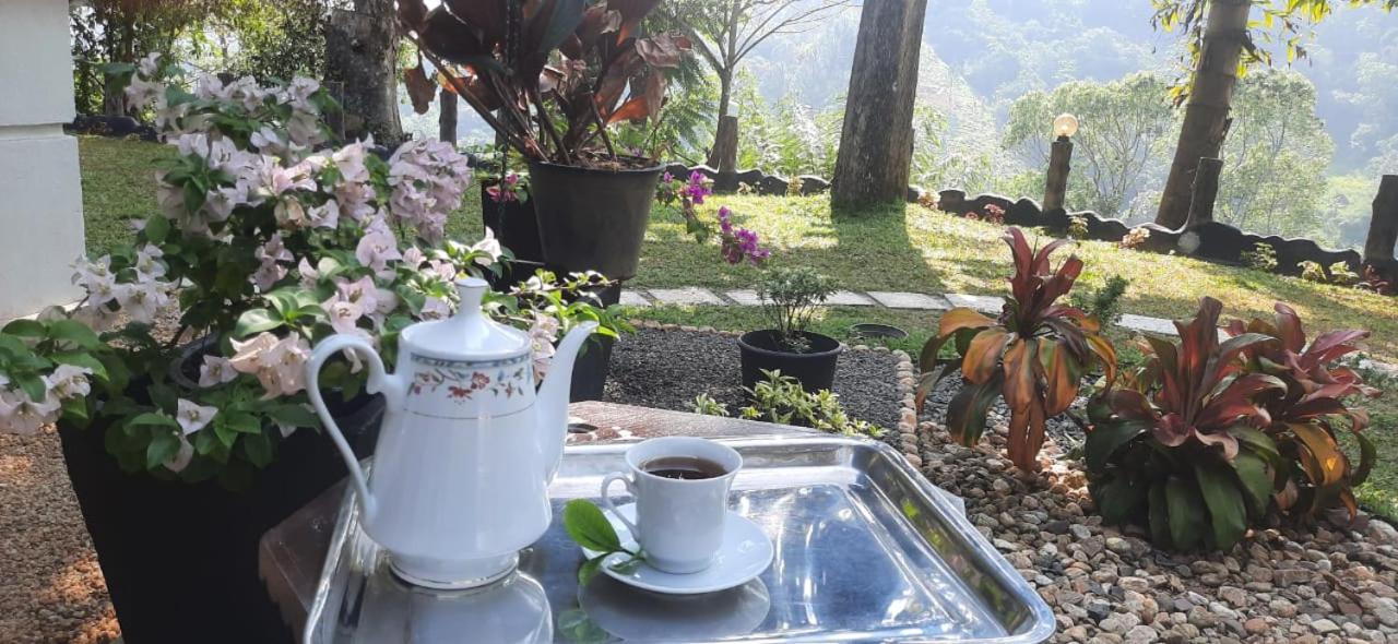 Ceylon Rich Leaves Ella Bed & Breakfast エクステリア 写真