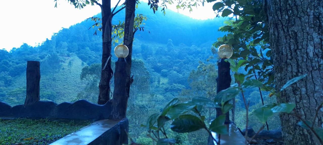 Ceylon Rich Leaves Ella Bed & Breakfast エクステリア 写真