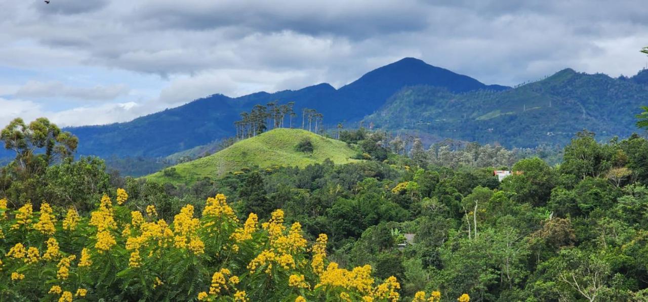 Ceylon Rich Leaves Ella Bed & Breakfast エクステリア 写真